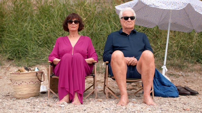 N’avoue jamais: A Sharp French Comedy with Dussollier and Azéma